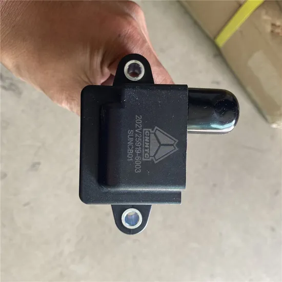 Источник заводской поставки Sinotruk HOWO T7h Sitrak C7h 812W25503-6001 Аварийный выключатель сигнализации